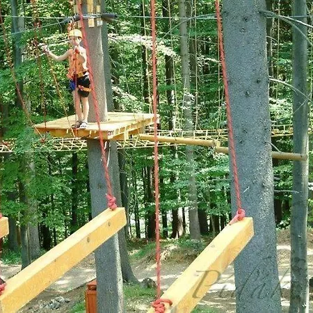 Droom Bed & Breakfast