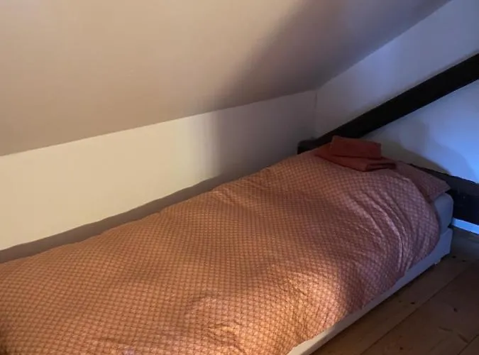 Nocleg ze śniadaniem Droom 4*